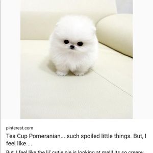 Meet your Posher, Rosario